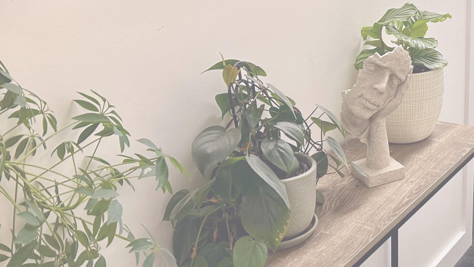 A square image with an image of Chanelle to the right. Text on the square reads Introducing Chanelle den Ouden. B.Sc. M. Nurs. Pract. M. Counselling. M. Sci. Med (SRH). Psychosexual therapist. Available Mondays - Collingwood or Online